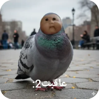 Telegram stiker 👍 Ali shomboli va bache ha