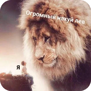 Telegram stiker 🖼 Кимпитяон :: @QStickBot