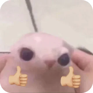 Телеграм стикер 👍 حزمه رامي القادح😘 :: @fStikBot