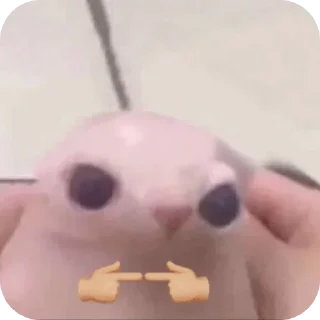 Video sticker 🤲 حزمه رامي القادح😘 :: @fStikBot