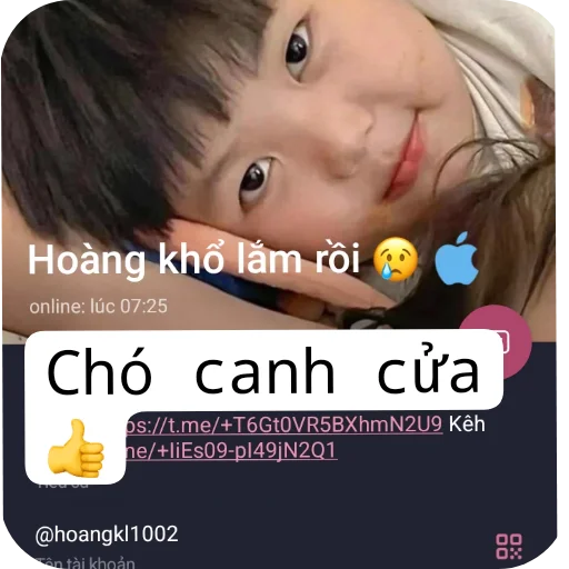 Telegram sticker 🦮 @Vantam07