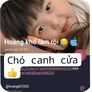 Video sticker 🦮 @Vantam07