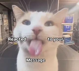 Video sticker 🌟 Taki @Taki_m_0 @couplespfp1