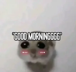 Telegram sticker 🌟 Taki @Taki_m_0 @couplespfp1