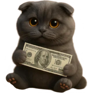 Video sticker 🤑 Котик Нонг-Дум @Nyasticks