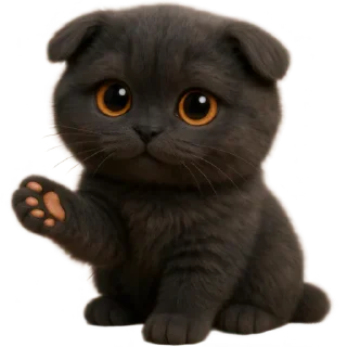 Sticker 👋 Котик Нонг-Дум @Nyasticks