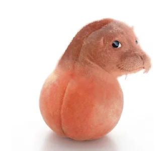 Sticker 🌟 Обжора :: @fStikBot