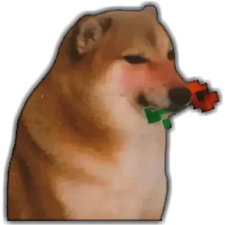 Telegram sticker ❤️ Pizza de Uva :: @fStikBot