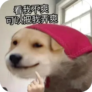 Sticker 🫥 小琳宝宝 :: @fStikBot