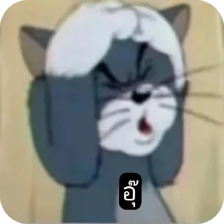 Video sticker 😀 noname×2