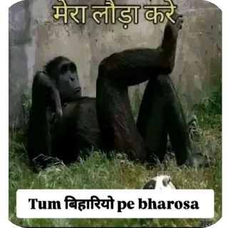 Telegram sticker 🫥 @Modibakchodi