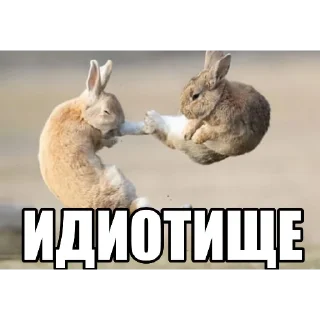 Телеграм стикер 😡 + weib @gewwissensbisse