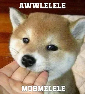 Video sticker 🙂 Cheems #4 @LegendaryKeys