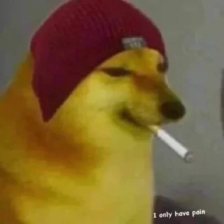 Telegram sticker 🚬 Cheems #4 @LegendaryKeys