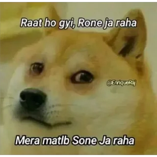 Telegram sticker 😢 Cheems #4 @LegendaryKeys