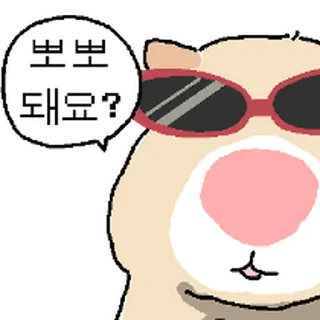 Video sticker ⭐ 햄스터야, 썬그리 벗어봐 @moe_sticker_bot