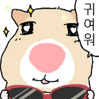Video sticker ⭐ 햄스터야, 썬그리 벗어봐 @moe_sticker_bot
