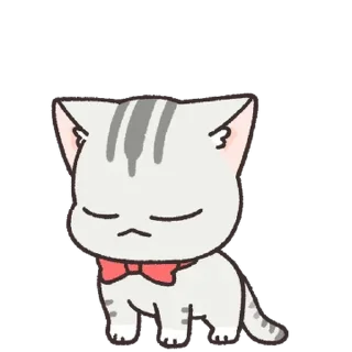 Sticker 💬 내 이름은 댕댕이, 고양이죠 By @KakaoEmoticon