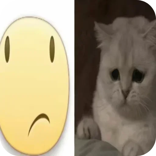 Telegram sticker 🐱 @wk203