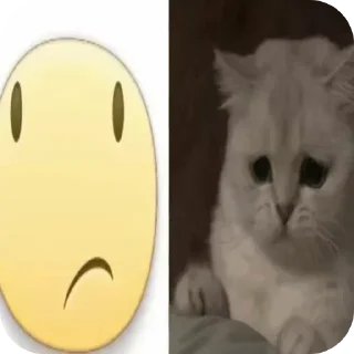 Video sticker 🐱 @wk203