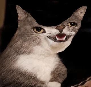 Telegram sticker 🤪 нахтигалька 2