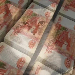 Video sticker 🤑 нахтигалька 2