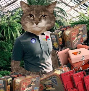 Telegram sticker 🧳 нахтигалька 2