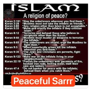 Telegram sticker 🫥 HPC