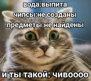 Video sticker 🤩 ок @TgEmodziBot