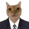 Sticker 🤵 рилсы -> @montirovka_slava