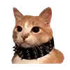 Video sticker 🤟 рилсы -> @mon...