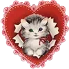 Sticker 💌 рилсы -> @montirovka_slava
