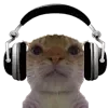 Sticker 🎧 рилсы -> @montirovka_slava