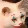 Sticker 🤡 рилсы -> @montirovka_slava