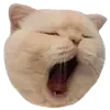 Sticker 😴 рилсы -> @montirovka_slava