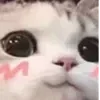 Video sticker 😳 рилсы -> @mon...