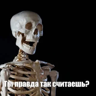 Video sticker ❓ Spooktober stickers