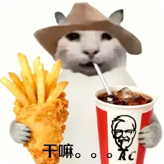 Telegram sticker 🎩 Mujica::寒夜泠月 @fStikBot