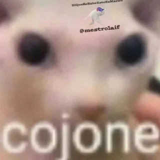 Telegram stiker 😒 Chiguire 🥔 Steal Pack