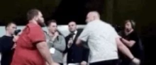 Video sticker 🌟 Elaborate Baboon :: @fStikBot