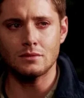 Video sticker 🌟 Elaborate Baboon :: @fStikBot