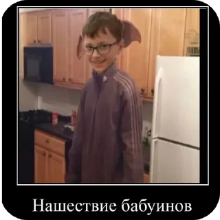 Telegram stiker 🛋 Федора