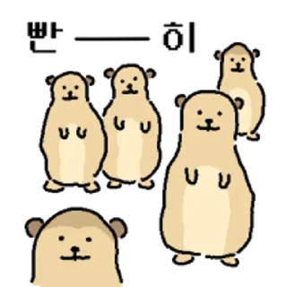 Telegram sticker 😀 뜻밖의 미어캣
