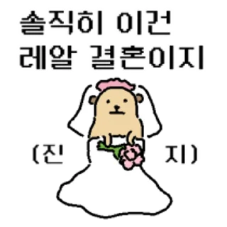 Video sticker 😀 뜻밖의 미어캣