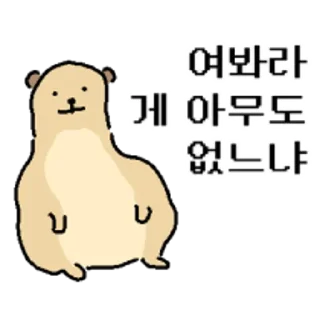 Sticker 😀 뜻밖의 미어캣