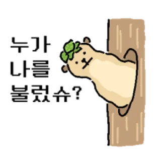 Video sticker 😀 뜻밖의 미어캣