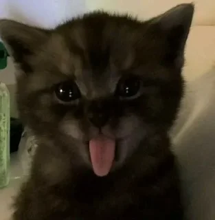 Sticker 😁 Больше стиков тут: @stikery4