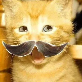 Telegram sticker 😜 Больше стиков тут: @stikery4