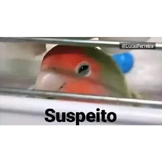 Video sticker 🧐 Marcão  | via @StickedApp_bot