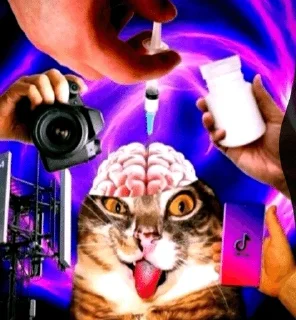 Video sticker 🧠 тт коммы @smazmik